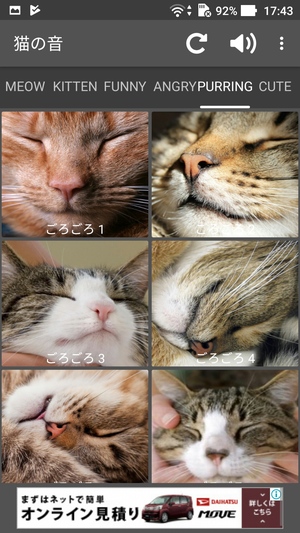 猫の音6