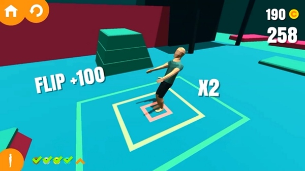 Flip Trickster5