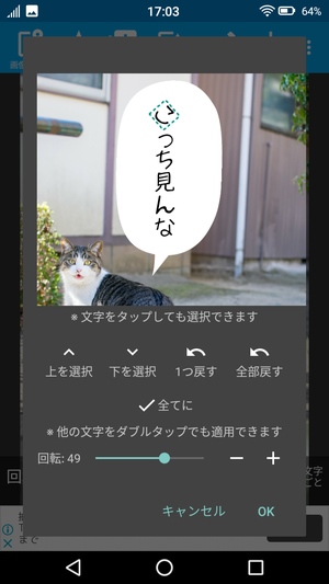 Android 縦書きもできる文字入れアプリ 写真ぷらす の使い方 ドロ場