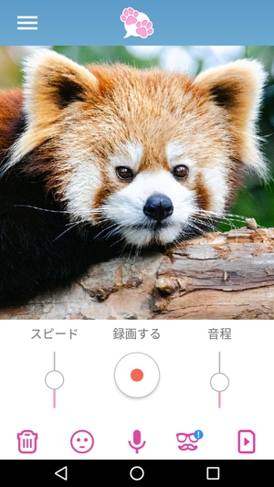 私のお話ペット 写真の動物が喋るアプリの使い方 ドロ場